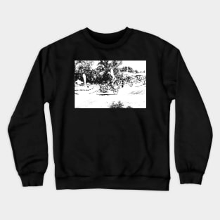 bmx Crewneck Sweatshirt